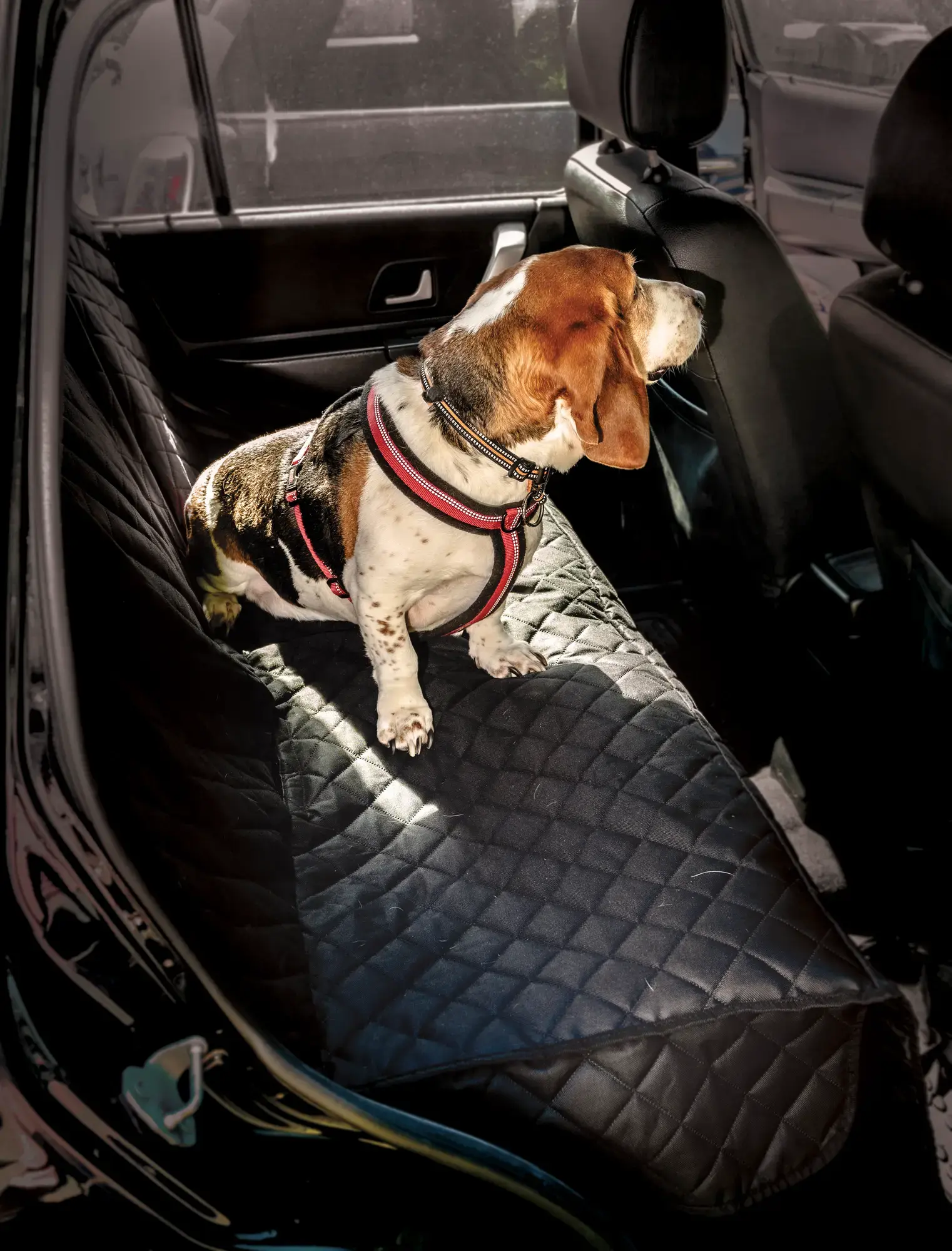 Maypole MP6527 Rear Seat Pet Protector