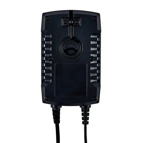 Ring Auto 6A Smart Charger and Battery Maintainer RSC806