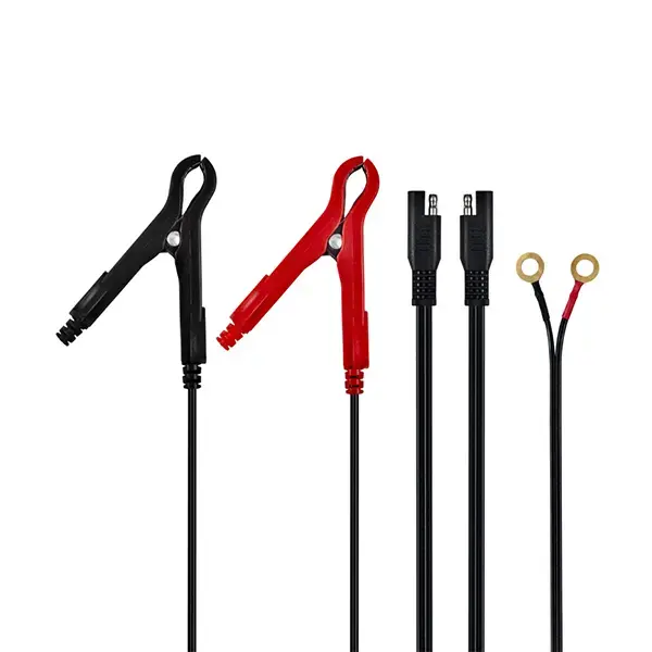 Ring Auto 6A Smart Charger and Battery Maintainer RSC806