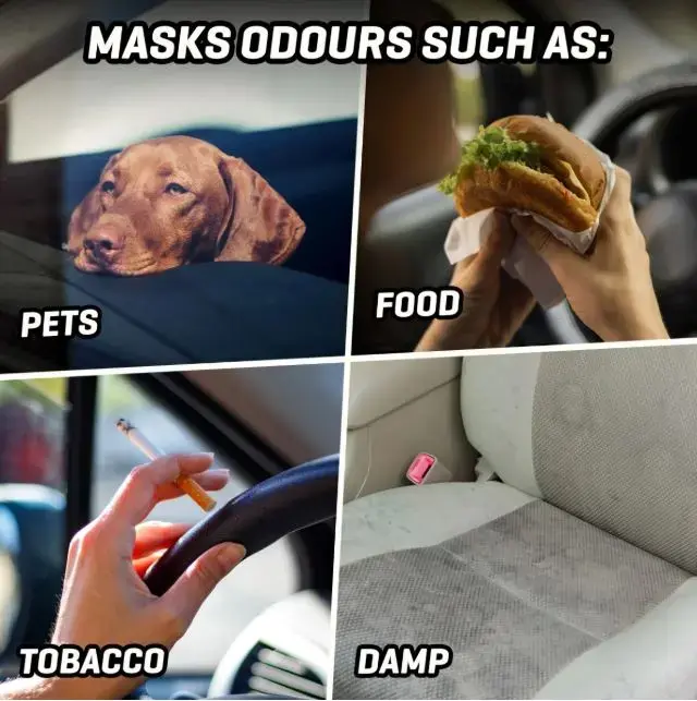 Demon Fabric Upholstery Shampoo 1L