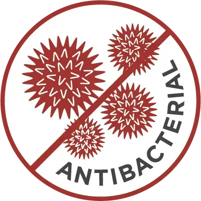 Coleman Pack-Away Table and Bench Set