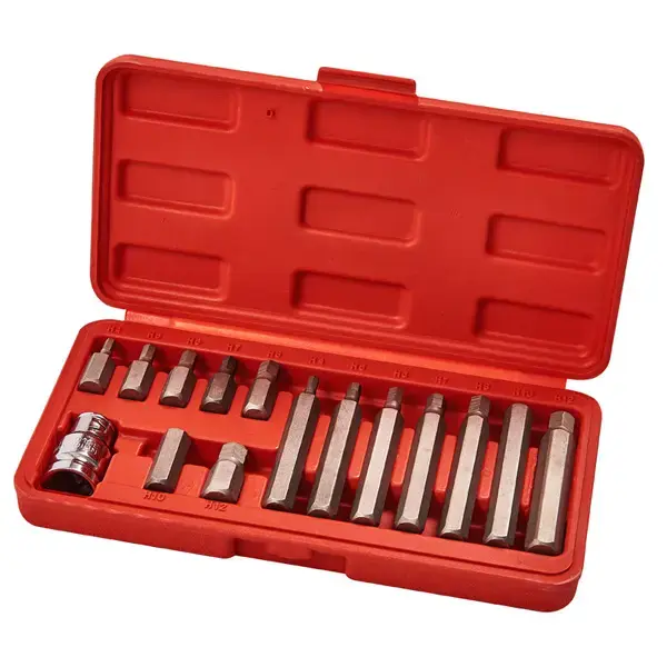 amtech 15pc Hex Bit & Socket Set