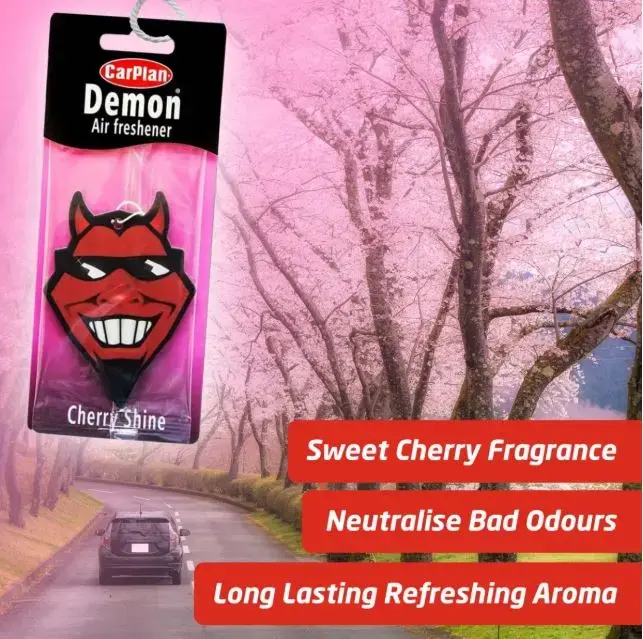 Demon 7 Piece Car Cleaning Kit