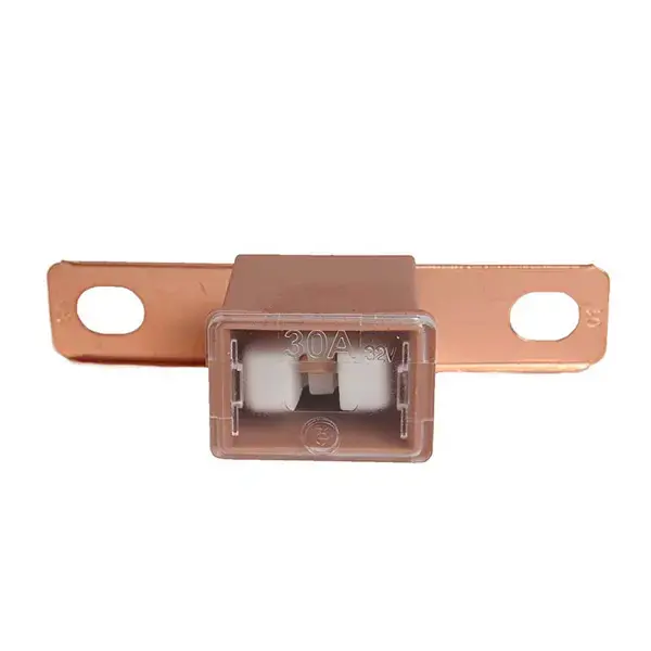 Pearl PK OF 5FUSE SLOW BLOW MALE SCREW IN 30 AMP
