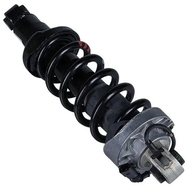 Vm Part Magnetic Shock Absorber Complete Unit With Spring Rear Left Hand Audi R8 | Vag-Shx-0001 | Euro Car Parts
