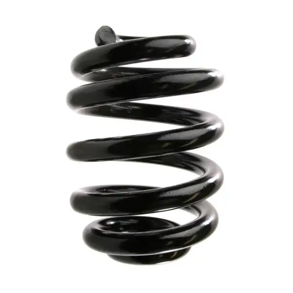 Sachs Coil Spring