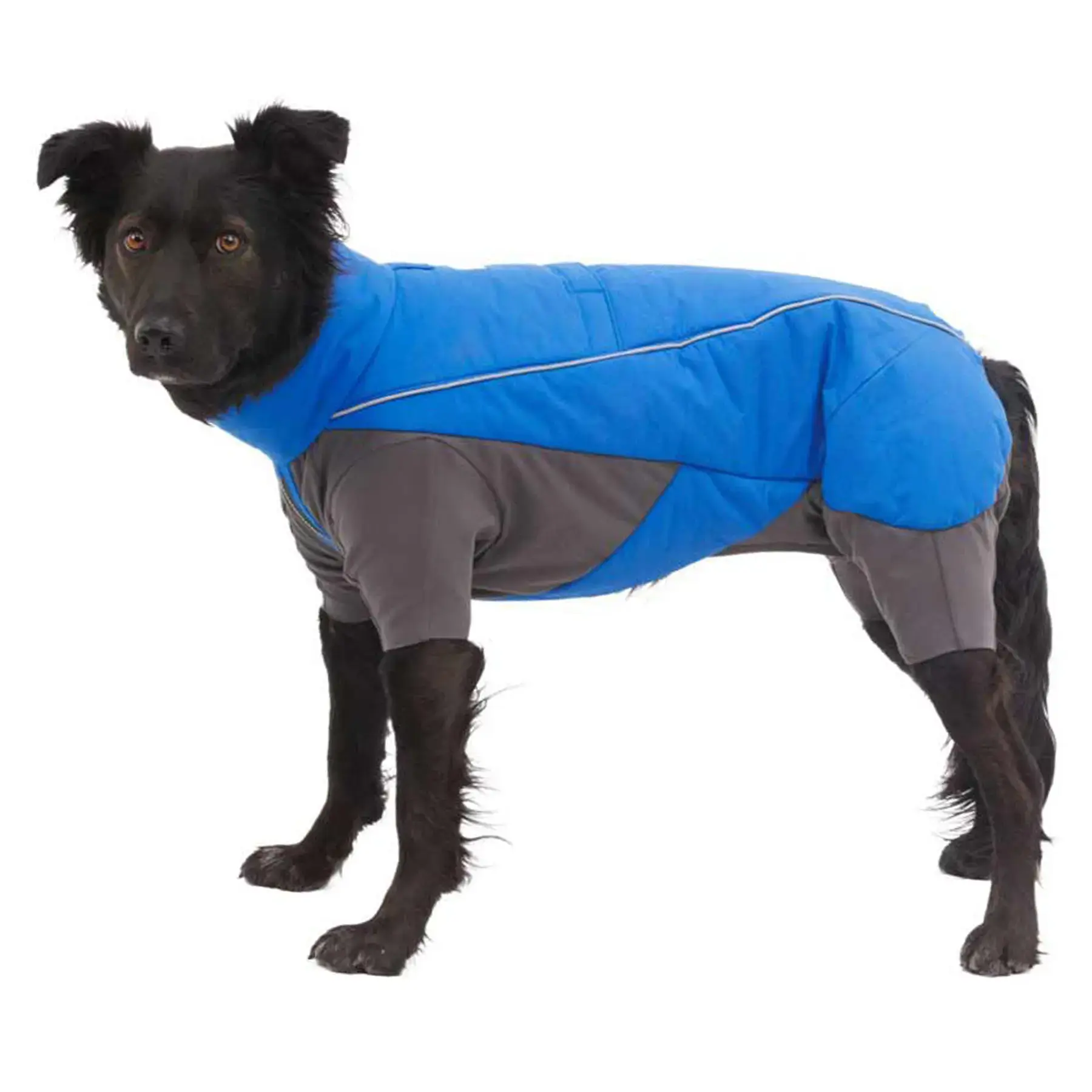Ruffwear Vert Coverall Dog Snow Suit in Blue Pool (X Small)
