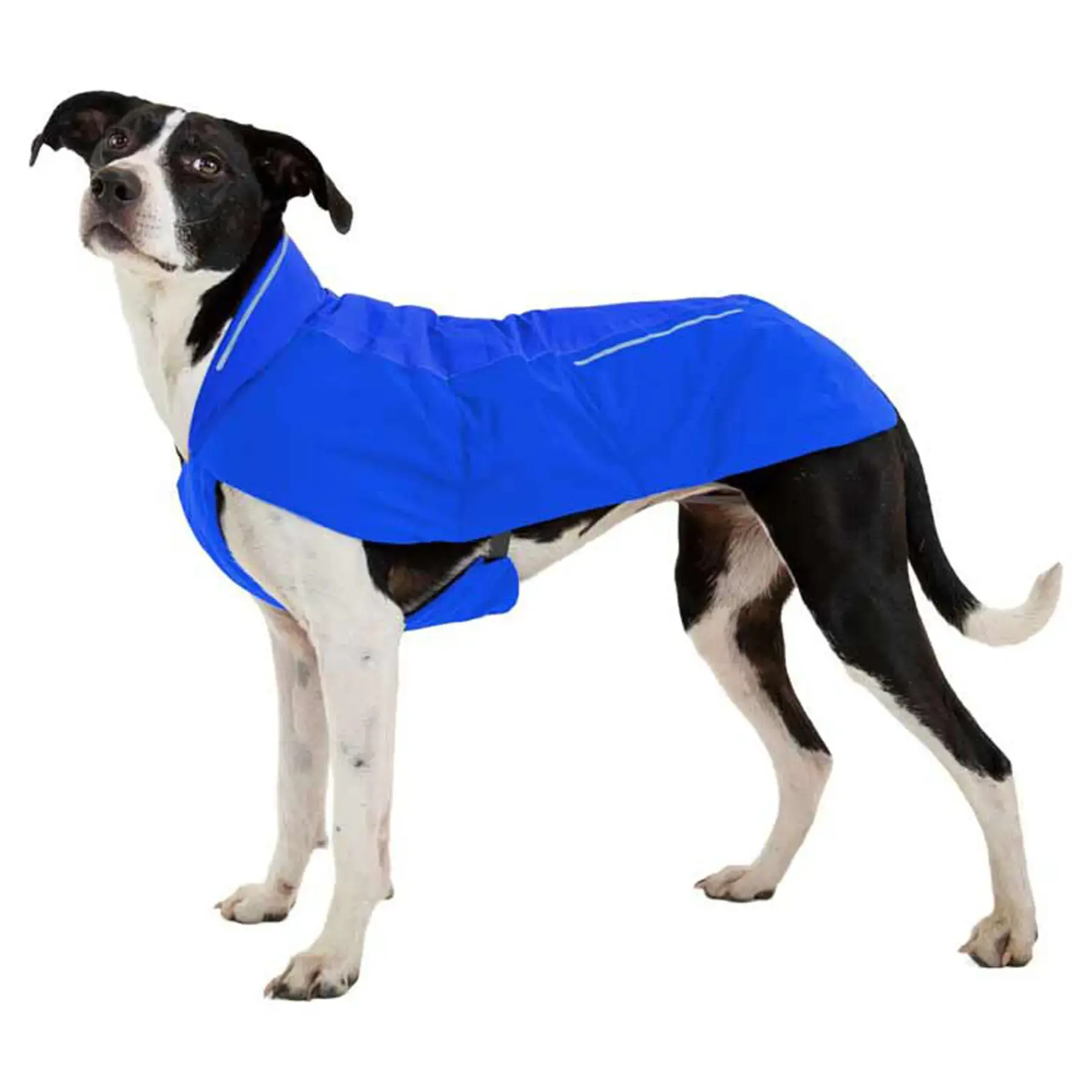 Ruffwear Vert Dog Jacket in Blue Pool (XX Small)