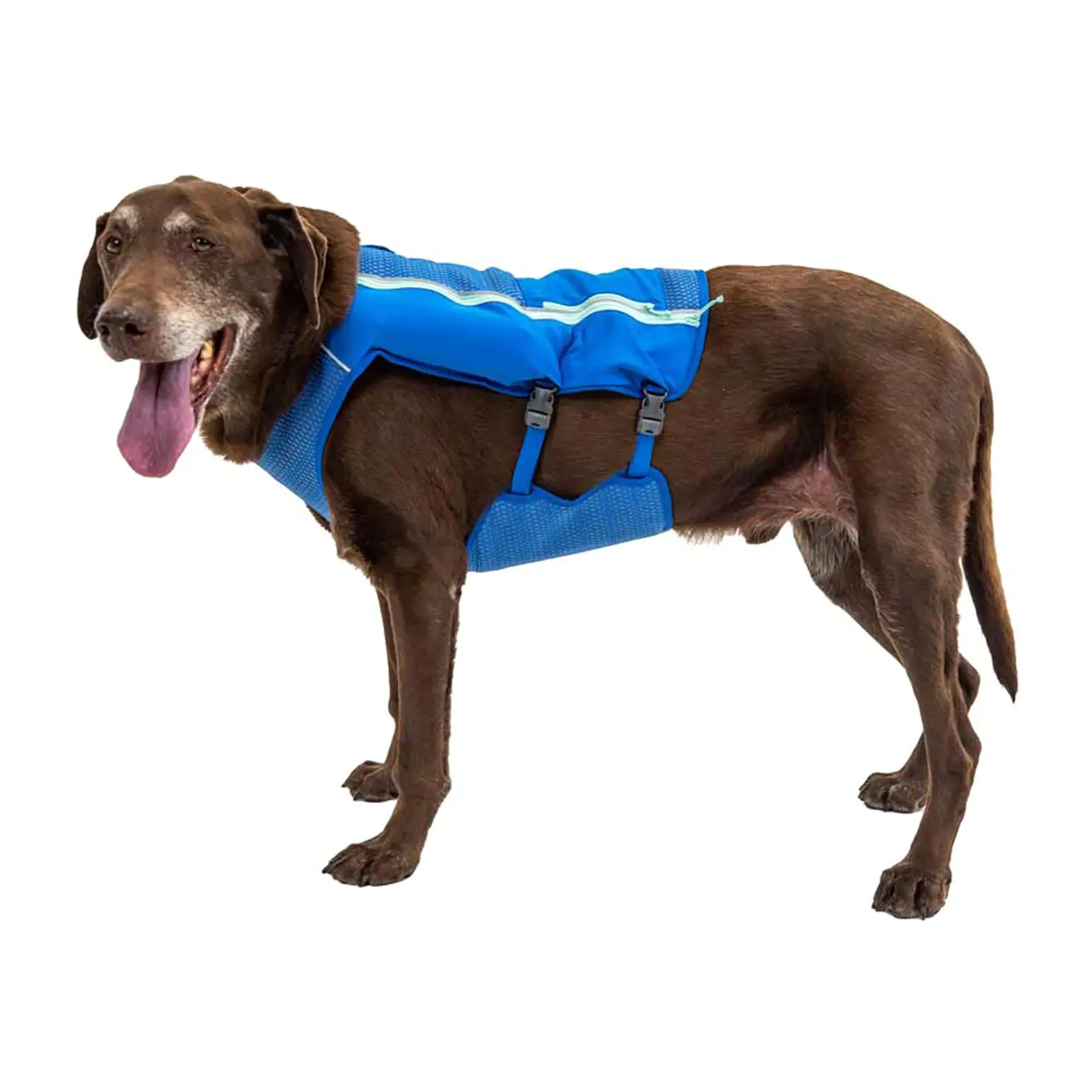 Ruffwear Trail Runner Dog Running Vest in Blue Pool (L / XL)